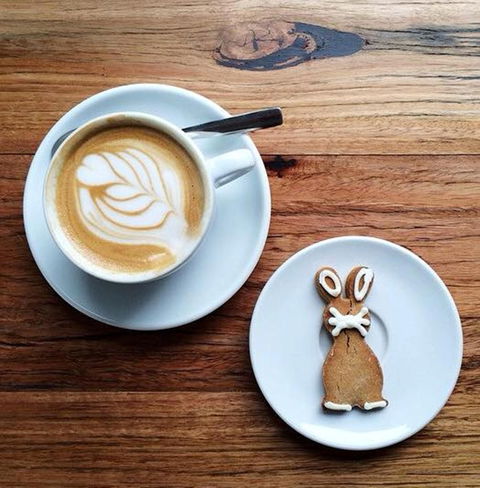 Little Green Corner - Events Australia 2