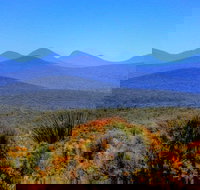 Arcadia Wines - Events Australia