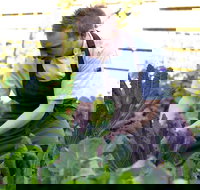 Chiswick Restaurant Woollahra - Events Australia