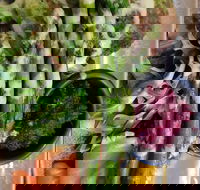 D For Dumplings - Events Australia