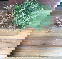 Double Mac - Events Australia