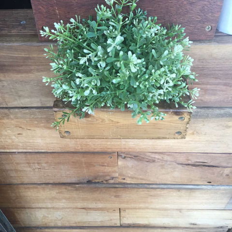 Double Mac - Events Australia 0