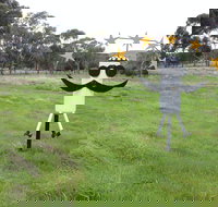 Heard it on the Grapevine - Events Australia