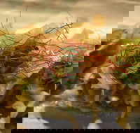 Tarana Indian Restaurant - Events Australia