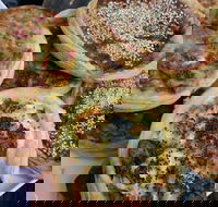 The Re Store Northbridge - Events Australia