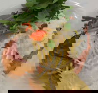 Vida Espresso - Events Australia