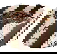 Wendy's - Ringwood - Events Australia