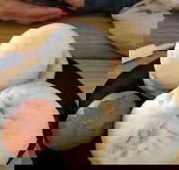 Big Bun - Events Australia