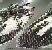 Caf Siciliadolce Pasticceria - Events Australia