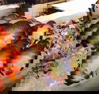 Cafe at the Hyatt Regency Perth - Events Australia