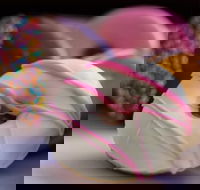 Donut King - Roselands - Events Australia