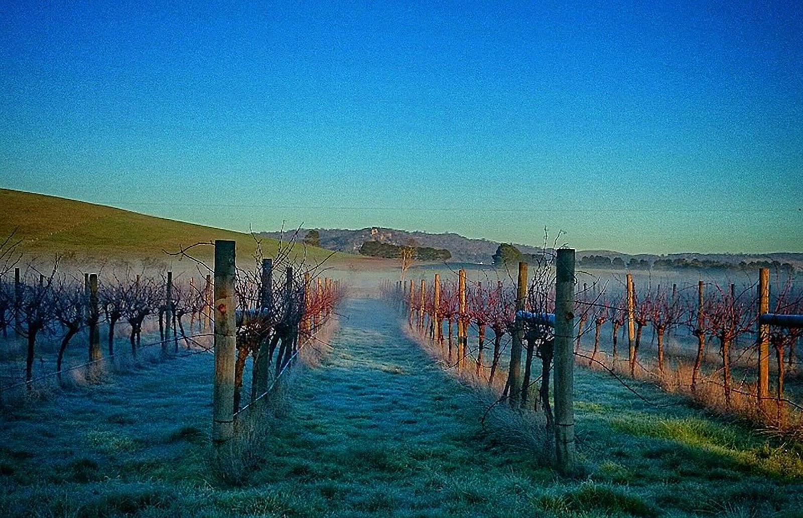 Allendale VIC Events Australia