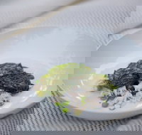 Moxhe - Events Australia