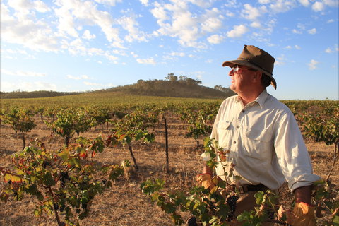 Sally's Paddock At Redbank Winery - Tourism Bookings 2