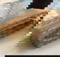 Vispo Espresso Bar - Tourism Bookings