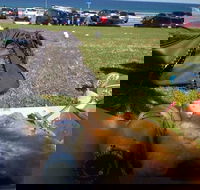 Fish House - Events Australia