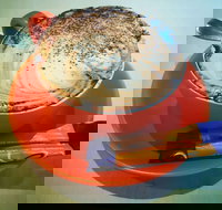 Phillips  Co - Events Australia