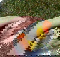 Yuri Sushi - Events Australia