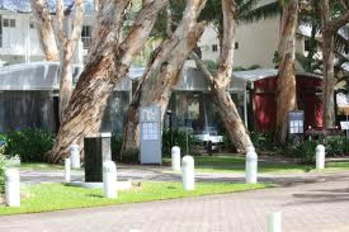 Palm Cove QLD Events Australia