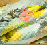 Clarendon Melbourne - Tourism Bookings