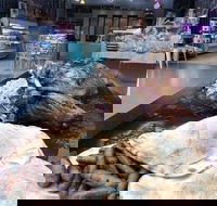 Grandpas Lebanese Food - Events Australia