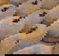 Miami Bakehouse Mandurah - Events Australia