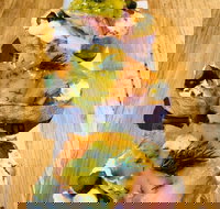 Paesano Hampton Park - Events Australia