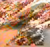 Pizza Rustica - Events Australia