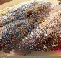 The Broken Drum - Tourism Bookings