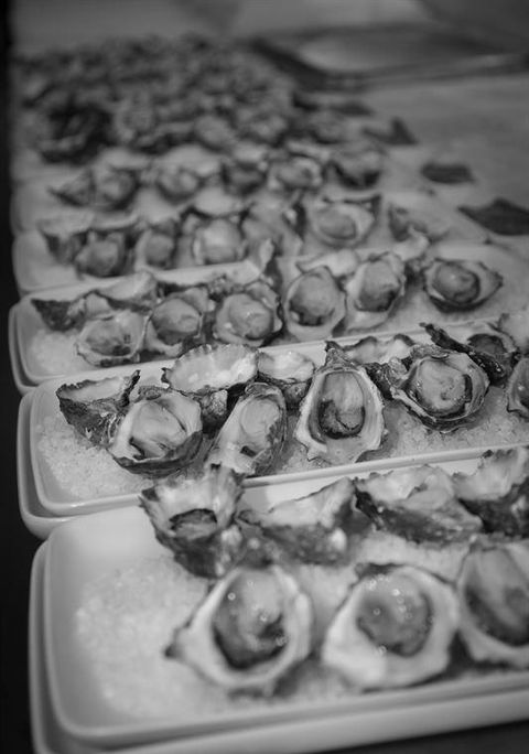 Romulus & Remus - Events Australia 5