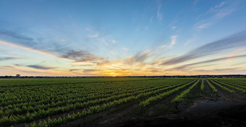 Atze's Corner Wines - Accommodation Europe 2