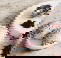 Gelatissimo - Strathfield - Events Australia