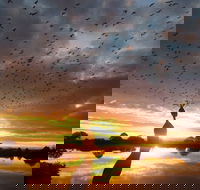 Old Lodge Gallery Emporium and River Cafe - Events Australia