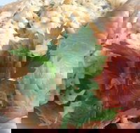 Parkwood Fish  Chips - Events Australia