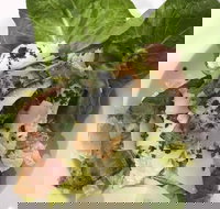 Ryan's Gourmet Kitchen - Events Australia