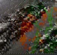 Shukah - Events Australia