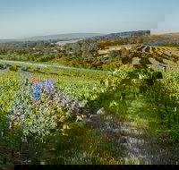 Wills Domain - Events Australia