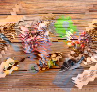 Bar Alto - Events Australia