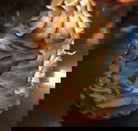 Mocha Bella - Events Australia