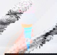 The Max Joy Co. - Eastwood