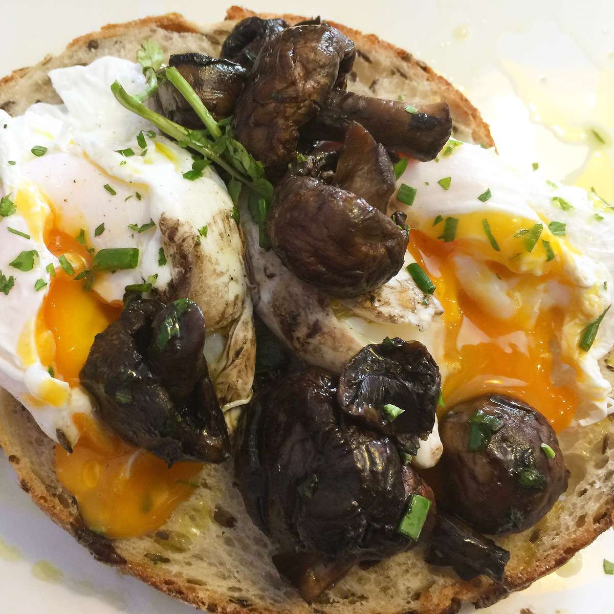 Wahroonga NSW Events Australia