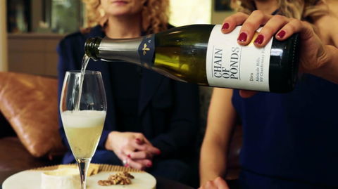Adelaide Hills-Billies Cheese & Wine Tasting - Accommodation Europe 2