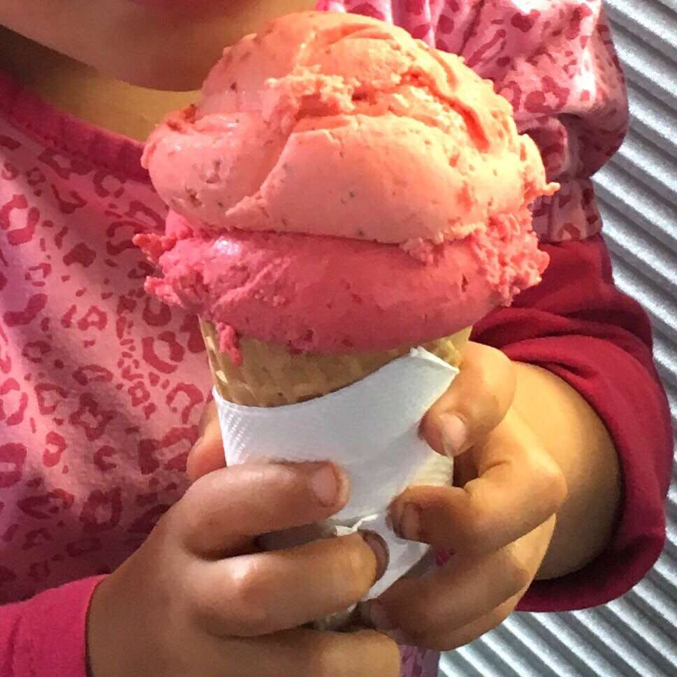 Bellingen NSW Events Australia