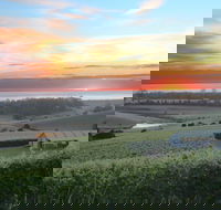 Cape Bernier Vineyard