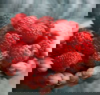 Christmas Hills Raspberry Farm Cafe - Events Australia