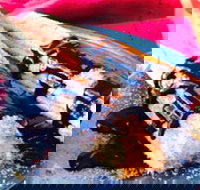 Donut King - Chirnside Park - Events Australia