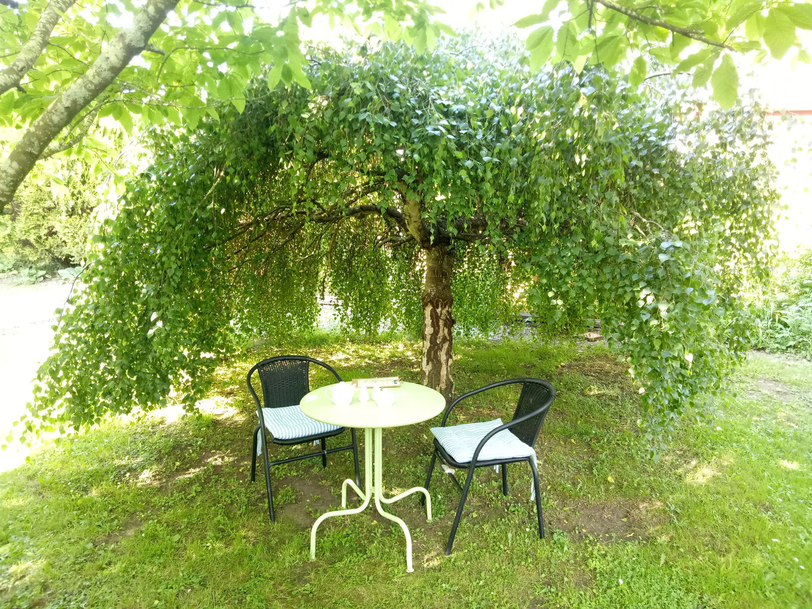 Mole Creek TAS Events Australia