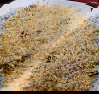 Man-O-Salwa - Clayton - Events Australia