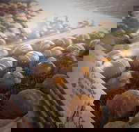 Pompadours Chocolate House - Tourism Bookings