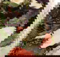 Ragazzi - Events Australia